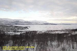 071- Suede